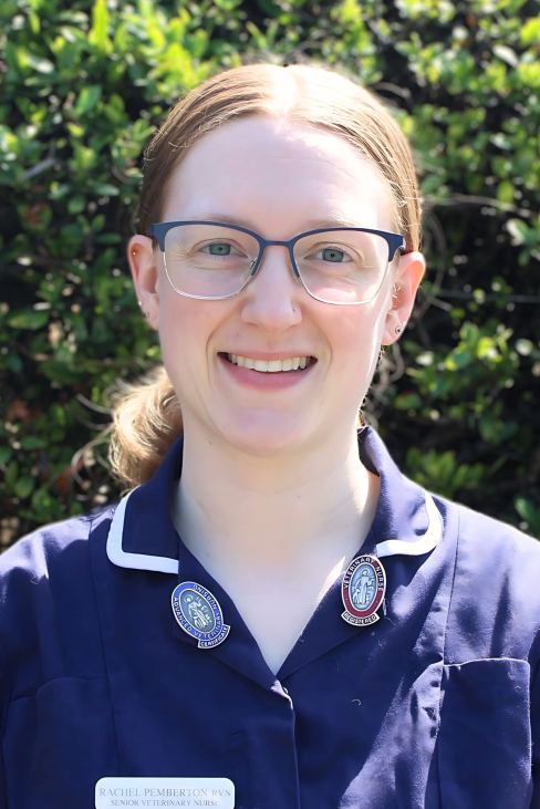 RachelP Rachel RNV senior veterinary nurse