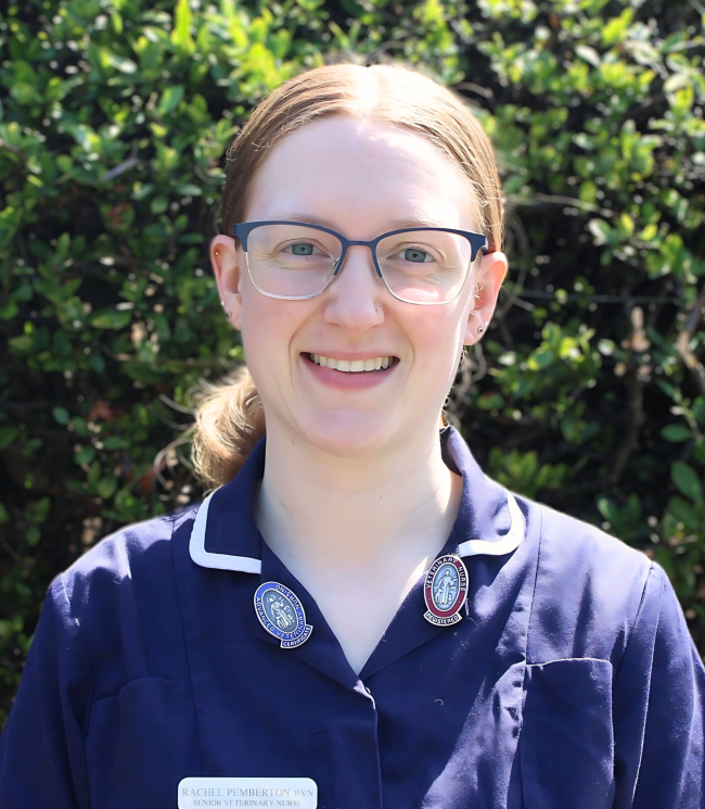 RachelP Rachel RNV senior veterinary nurse