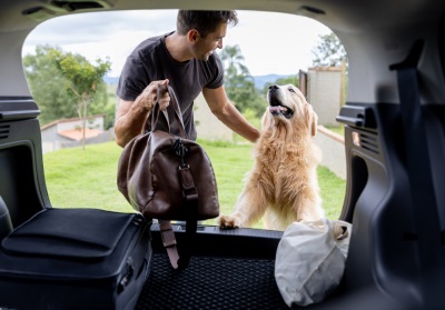 how to prepare your dog for travelling