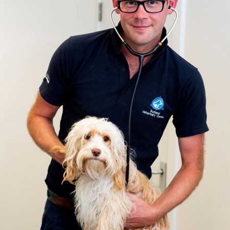 book dog neutering dog neutering at rutland vets