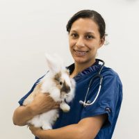 Rutland Vets Flea And Worm Treatment For Rabbits