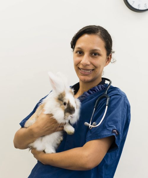 Flea And Worm Treatment For Rabbits