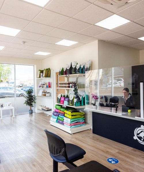 rutland vets vaccinations rutland vets offers rabbit vaccinations