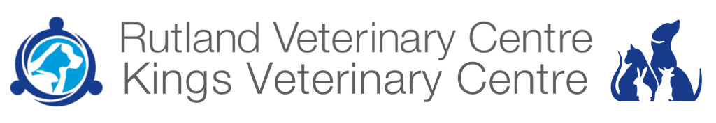 KVC logo - white no background