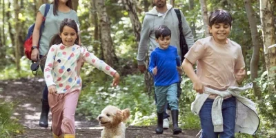 how_to_introduce_pets_to_children