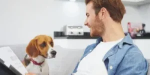 importance-of-insurance-300×210