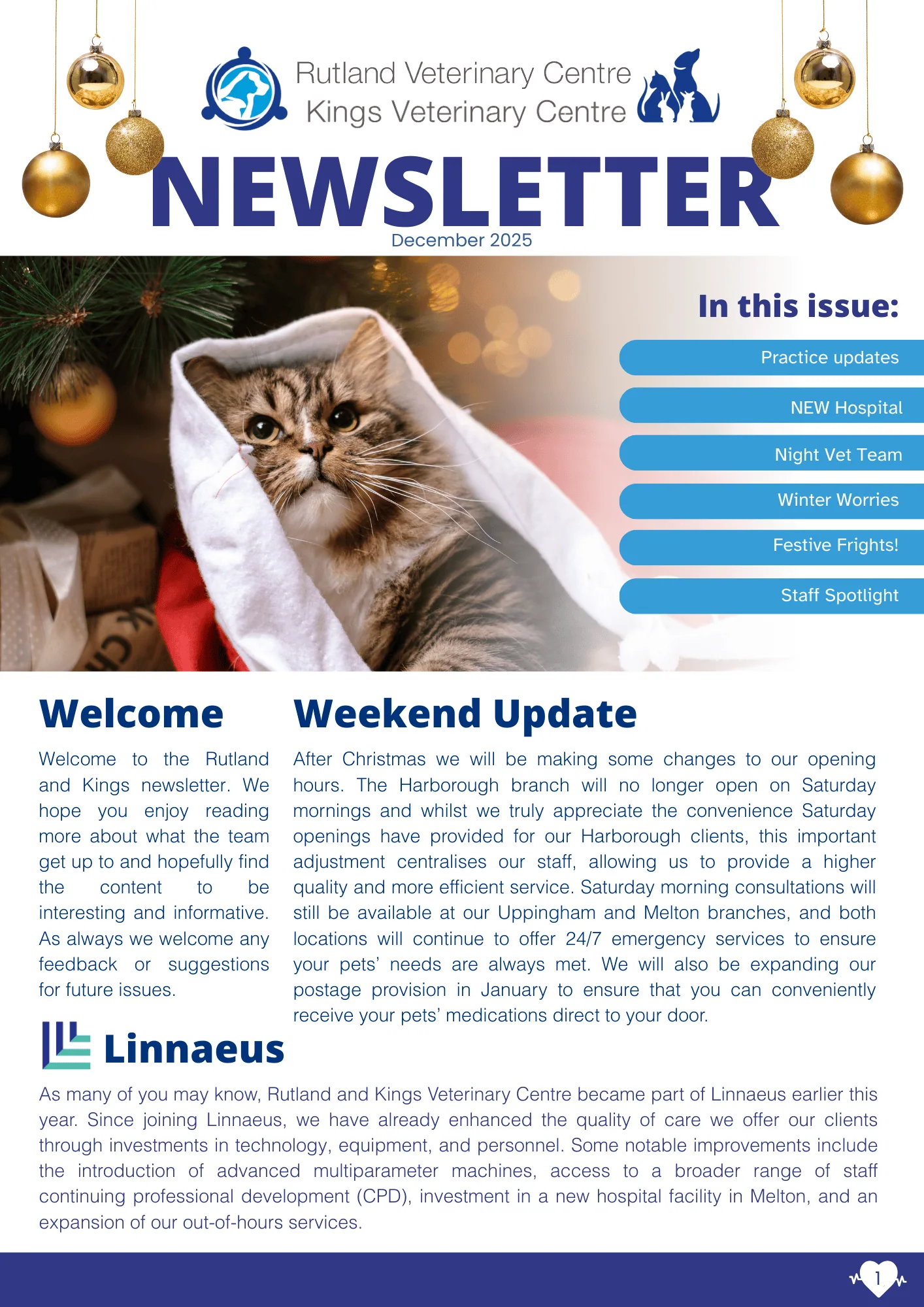 December 2025 newsletter